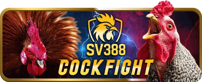 Cá cược thể thao tại U888bet